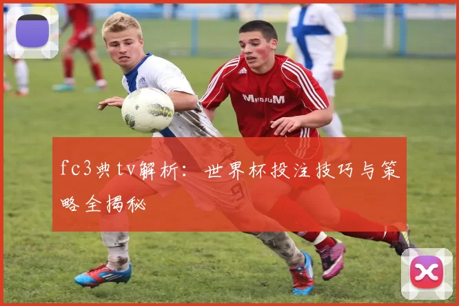fc3典tv解析:世界杯投注技巧与策略全揭秘