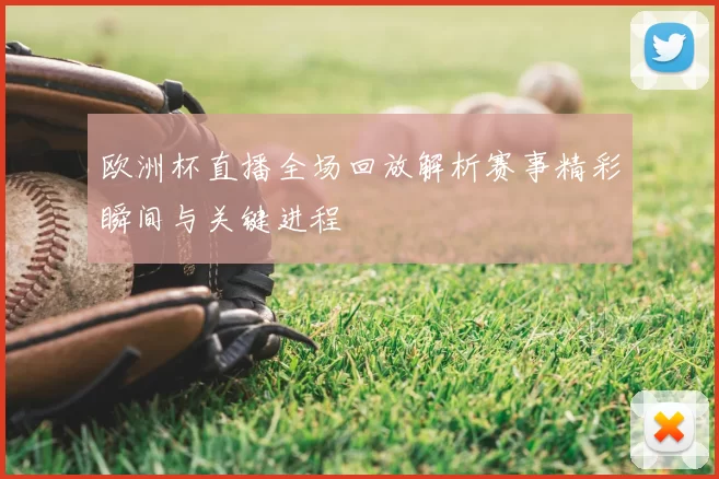 欧洲杯直播全场回放解析赛事精彩瞬间与关键进程