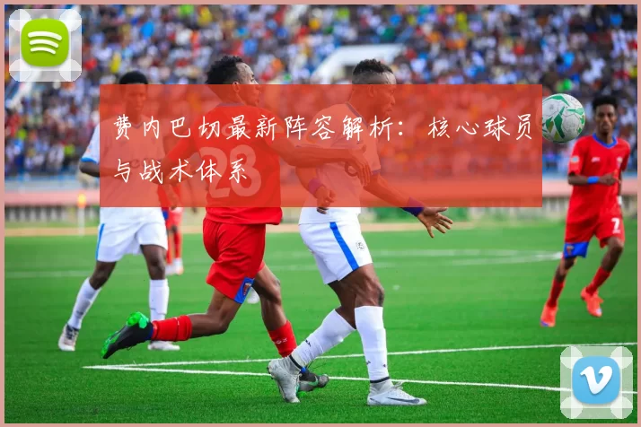 费内巴切最新阵容解析：核心球员与战术体系