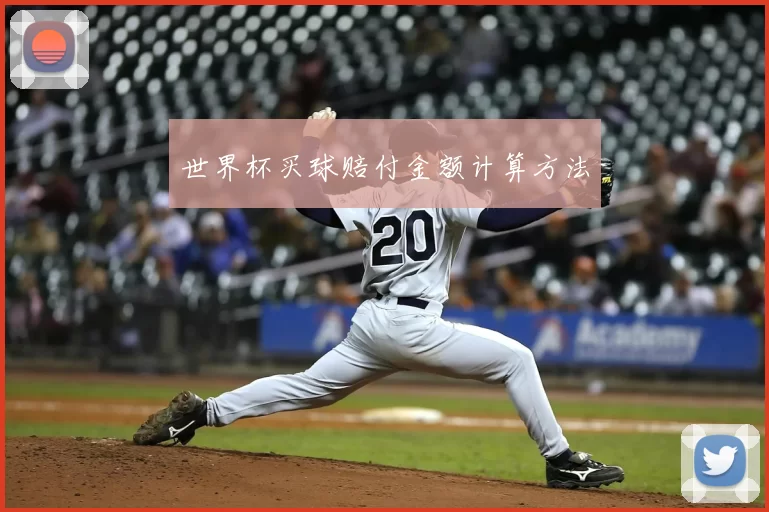 世界杯买球赔付金额计算方法