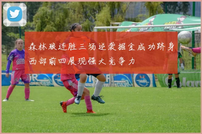 森林狼连胜三场逆袭掘金成功跻身西部前四展现强大竞争力