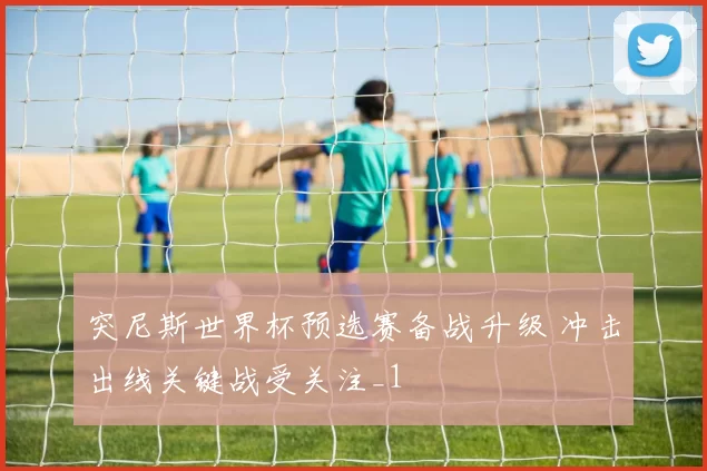 突尼斯世界杯预选赛备战升级 冲击出线关键战受关注_1
